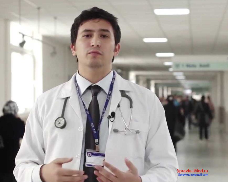 Наши цены на справки Наши цены на справки